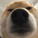 易寒