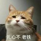 看看风景