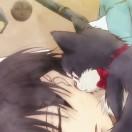 养只猫做伴～