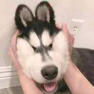 你也有今天
