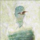 生活到处是阳光