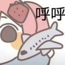 小夫来了
