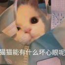 花好月圆