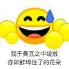 安定医院精神科黄主任