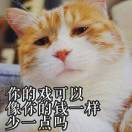 故事里的那朵小黄花