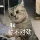 mwt要早睡早起
