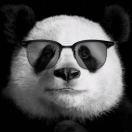 可有可无的网友