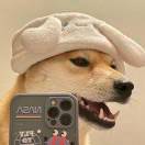 '
