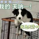 周