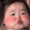 枫羽翔