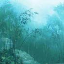 青萍