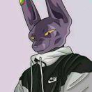 探探风