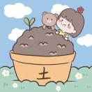 夏夏の奇妙之旅🌻