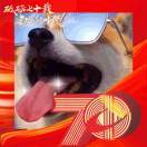 骑猪一顿砍