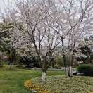 User484951876