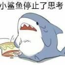 小鲨鱼