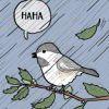 HAHA