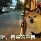 匆匆过客