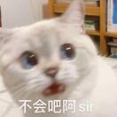 你在教我做事啊？