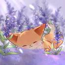 ᝰꫛꪮꪮꫜ 🌙