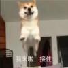 我是欧皇，不接受反驳！