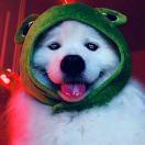 ᵧₒᵤ Lᵒᵛᵉ me
