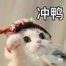 呆伞