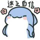一只小鲨鱼