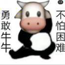 高级泥称小牛牛🐮