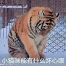 第三个深秋
