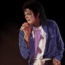 一只小狼的主人