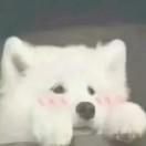 白金