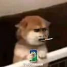 社会