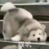 弦