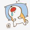 不是我