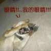 生活不易，为什么要做妖
