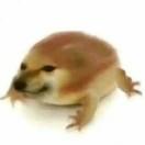 饭盒
