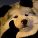 追梦少年渡江洋