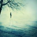 养只猫取名叫红烧