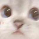 一个人的朝圣