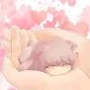 耗子love猫咪