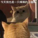 是兮崽呀