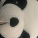 理想禁区