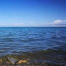 那片海