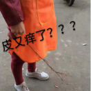 盒子精