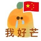 小肥肉swag