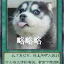 User358710361