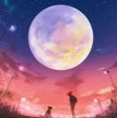 揽星河入梦
