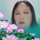 天天开心🌻
