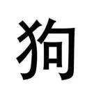 叕叕不怂呀